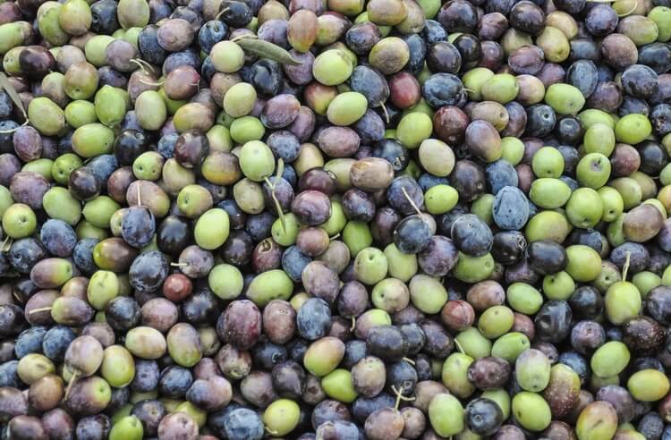 Naturel Zeytinyağı